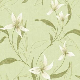 Phân biệt các loại giấy dán tường Nhật, Hàn, Đức như thế nào giay-dan-tuong-nhat